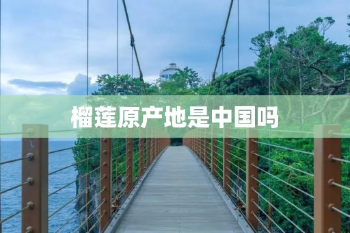 榴莲原产地是中国吗