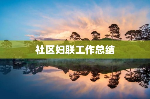 社区妇联工作总结