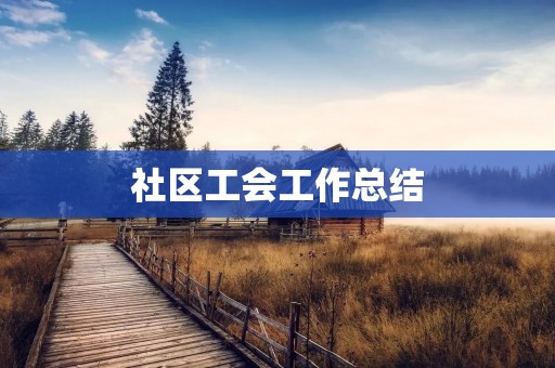 社区工会工作总结