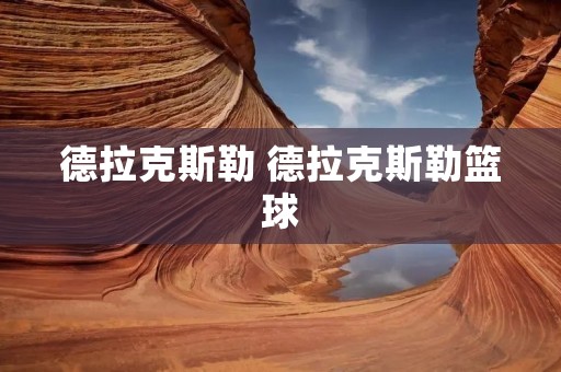 德拉克斯勒 德拉克斯勒篮球