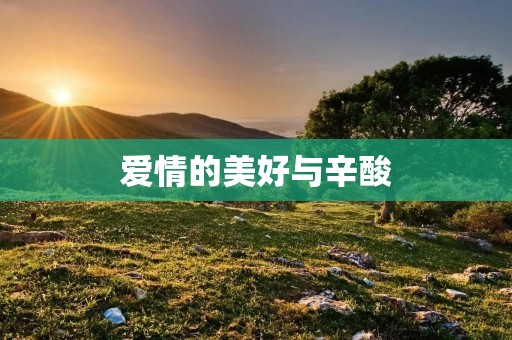 爱情的美好与辛酸 爱情的美好与辛酸