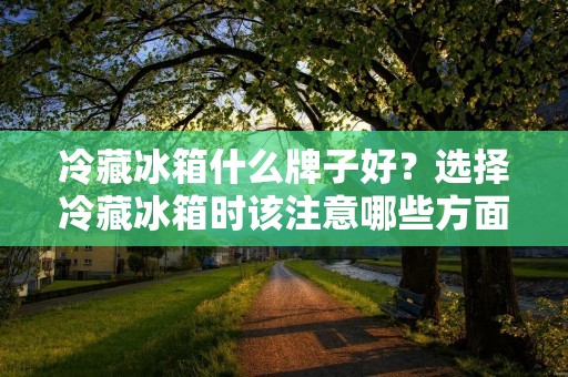 冷藏冰箱什么牌子好?选择冷藏冰箱时该注意哪些方面? 冷藏冰箱什么牌子好?选择冷藏冰箱时该注意哪些方面?