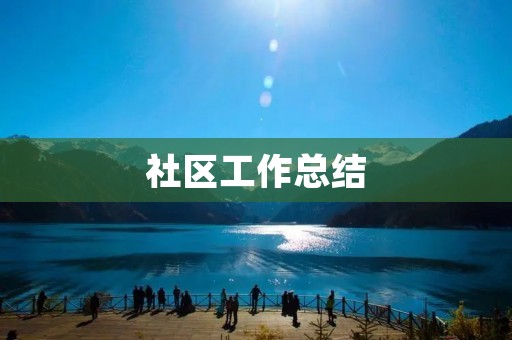 社区工作总结:推动社区发展的实践与思考