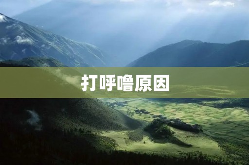 打呼噜原因：你知道为什么你会打呼噜吗？