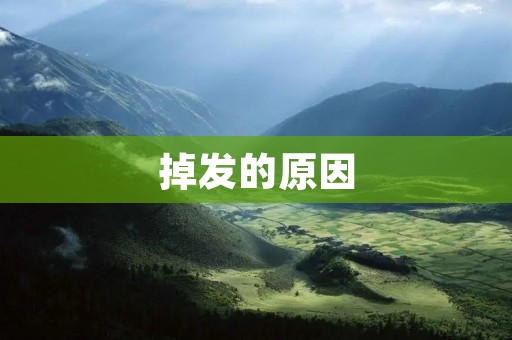 掉发的原因：从根本上解决脱发问题