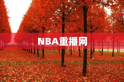 NBA重播网：让你随时随地观看NBA比赛