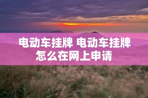 电动车挂牌 电动车挂牌怎么在网上申请 电动车挂牌 电动车挂牌怎么在网上申请