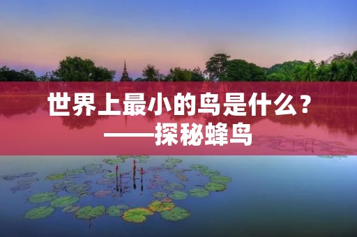 世界上最小的鸟是什么?——探秘蜂鸟 世界上最小的鸟是什么?——探秘蜂鸟