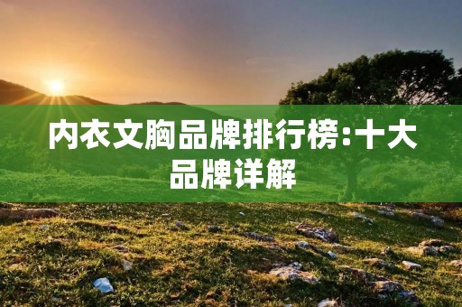 内衣文胸品牌排行榜:十大品牌详解