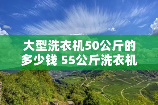 大型洗衣机50公斤的多少钱 55公斤洗衣机多少钱