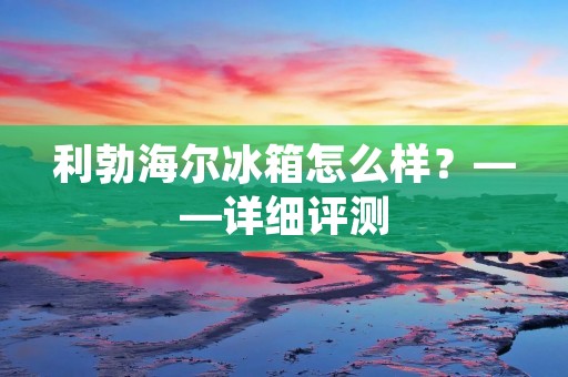 利勃海尔冰箱怎么样？——详细评测