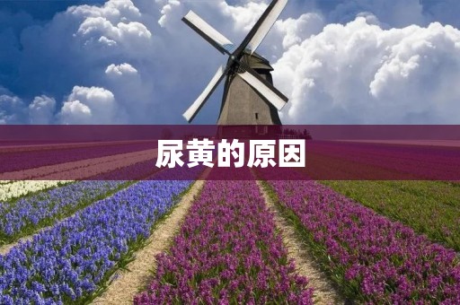 尿黄的原因:探究身体健康与尿液颜色的关系 尿黄的原因:探究身体健康与尿液颜色的关系