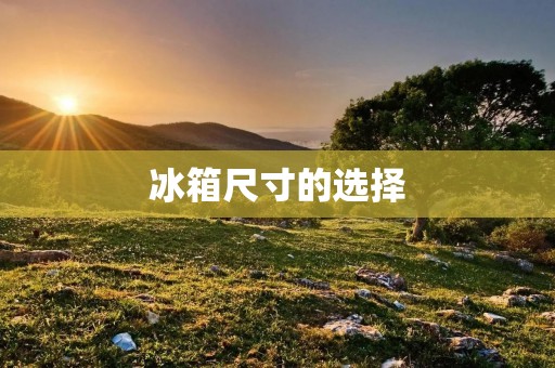 冰箱尺寸的选择:宽度到底要多少? 冰箱尺寸的选择:宽度到底要多少?