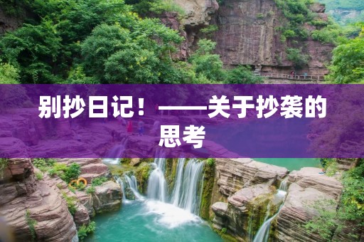 别抄日记！——关于抄袭的思考
