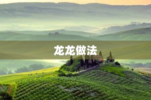 龙龙做法:让孩子爱上学习的有效方法 龙龙做法:让孩子爱上学习的有效方法