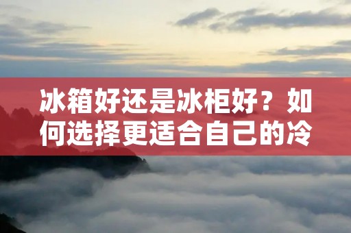 冰箱好还是冰柜好？如何选择更适合自己的冷藏设备