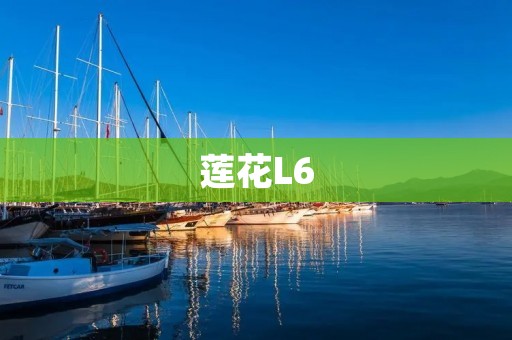 莲花L6:一款高性能智能手机 莲花L6:一款高性能智能手机