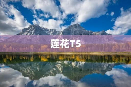 莲花T5:跑车中的黑马 莲花T5:跑车中的黑马