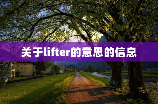 关于lifter的意思的信息 关于lifter的意思的信息