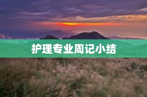 护理专业周记小结