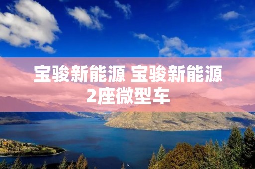 宝骏新能源 宝骏新能源2座微型车
