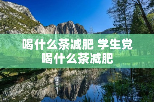 喝什么茶减肥 学生党喝什么茶减肥