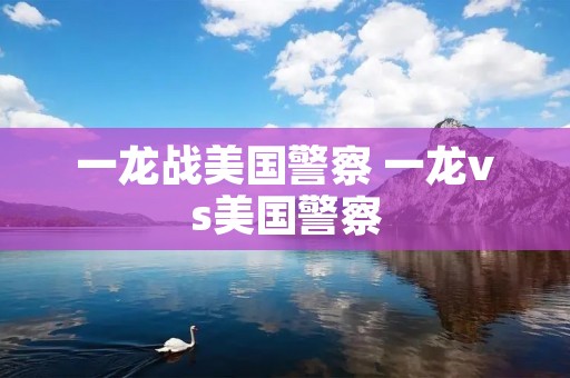 一龙战美国警察 一龙vs美国警察