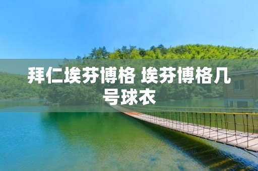 拜仁埃芬博格 埃芬博格几号球衣