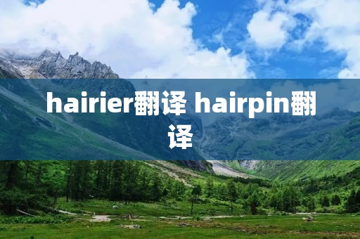 hairier翻译 hairpin翻译