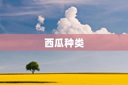 西瓜种类：从外观到口感的全面解析