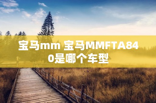 宝马mm 宝马MMFTA840是哪个车型