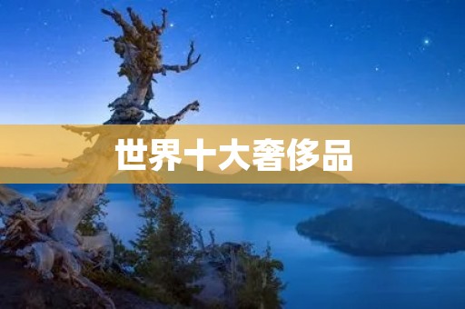世界十大奢侈品：探索尊贵品牌的独特魅力