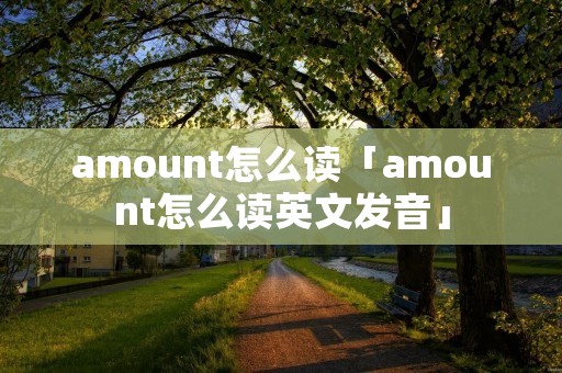 amount怎么读「amount怎么读英文发音」