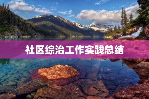 社区综治工作实践总结
