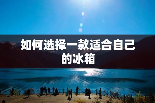 如何选择一款适合自己的冰箱