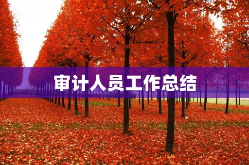 审计人员工作总结
