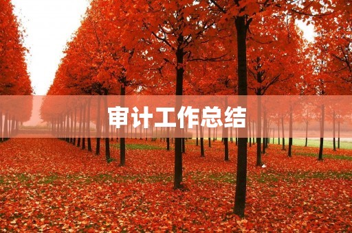审计工作总结:深入财务细节,提升风险控制能力