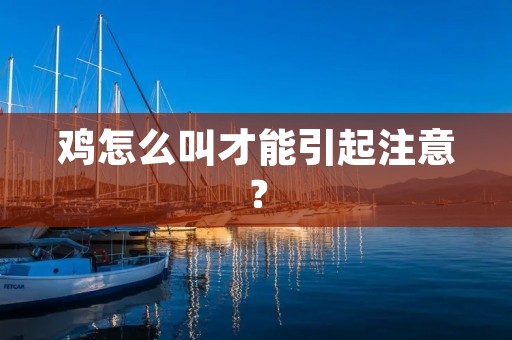 鸡怎么叫才能引起注意？