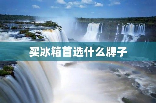 买冰箱首选什么牌子 买冰箱首选什么牌子
