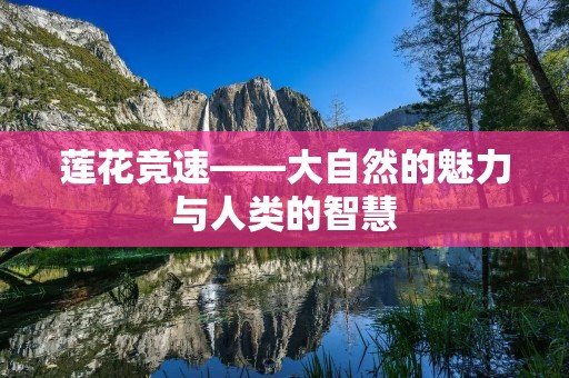 莲花竞速——大自然的魅力与人类的智慧