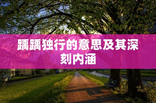 踽踽独行的意思及其深刻内涵