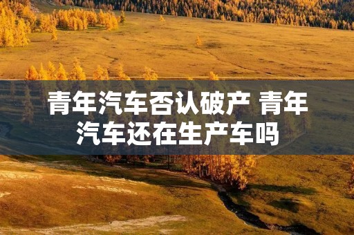 青年汽车否认破产 青年汽车还在生产车吗