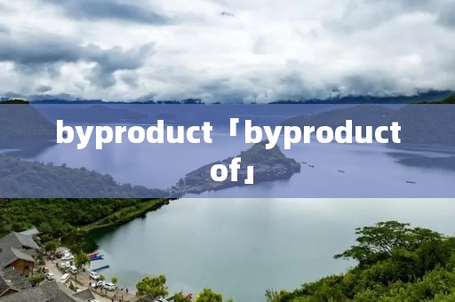 byproduct「byproduct of」 byproduct「byproduct of」