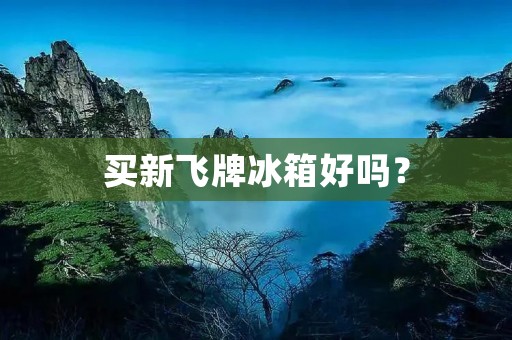 买新飞牌冰箱好吗? 买新飞牌冰箱好吗?