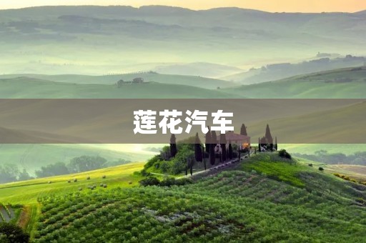 莲花汽车：中国自主品牌的崛起