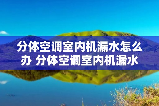 分体空调室内机漏水怎么办 分体空调室内机漏水怎么办视频 分体空调室内机漏水怎么办 分体空调室内机漏水怎么办视频