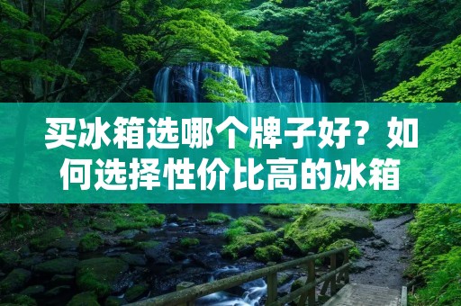 买冰箱选哪个牌子好？如何选择性价比高的冰箱？