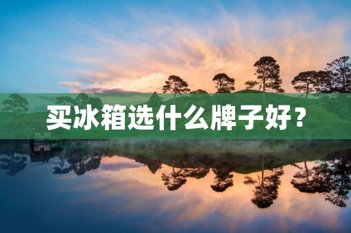 买冰箱选什么牌子好? 买冰箱选什么牌子好?