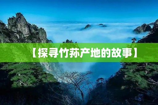 【探寻竹荪产地的故事】