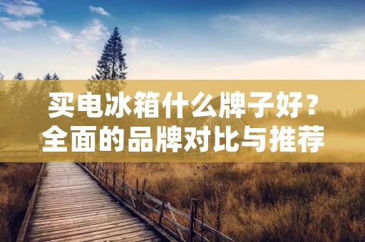 买电冰箱什么牌子好？全面的品牌对比与推荐！